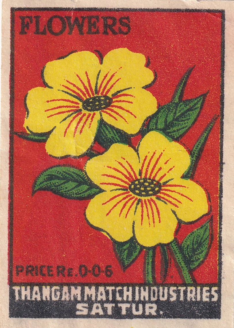 A descriptive caption for my photo