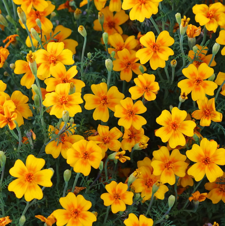 A descriptive caption for my photo