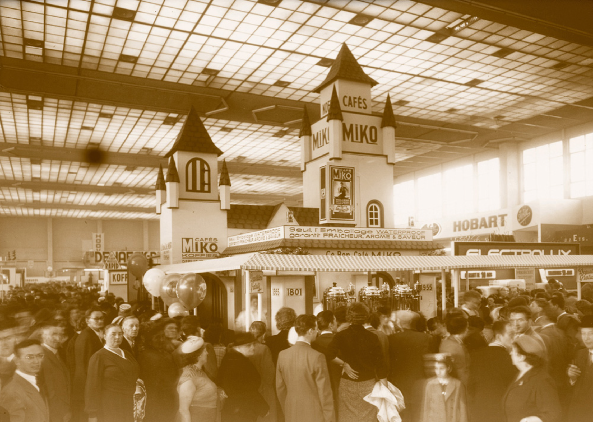 A descriptive caption for my photo